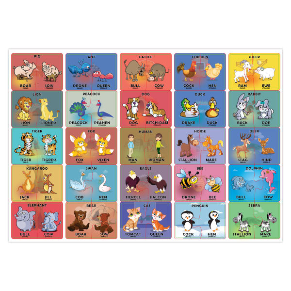 Funskool Lets Learn Gender